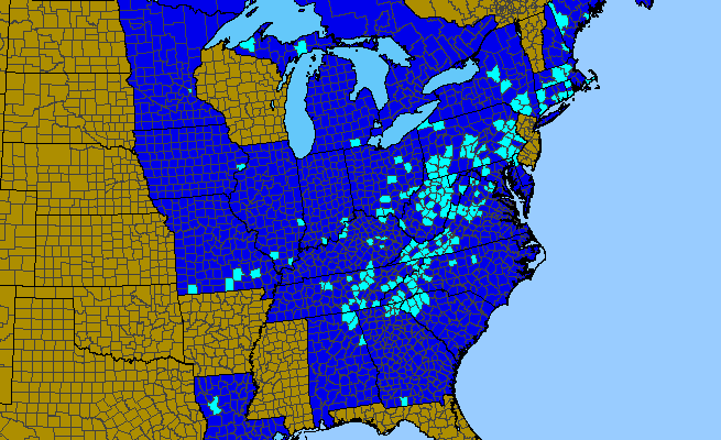 The range of Spiraea japonica